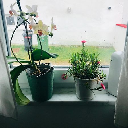 La Toskana Apartment Ihr Rueckzugsort Am Regen Zeitlarn Ngoại thất bức ảnh