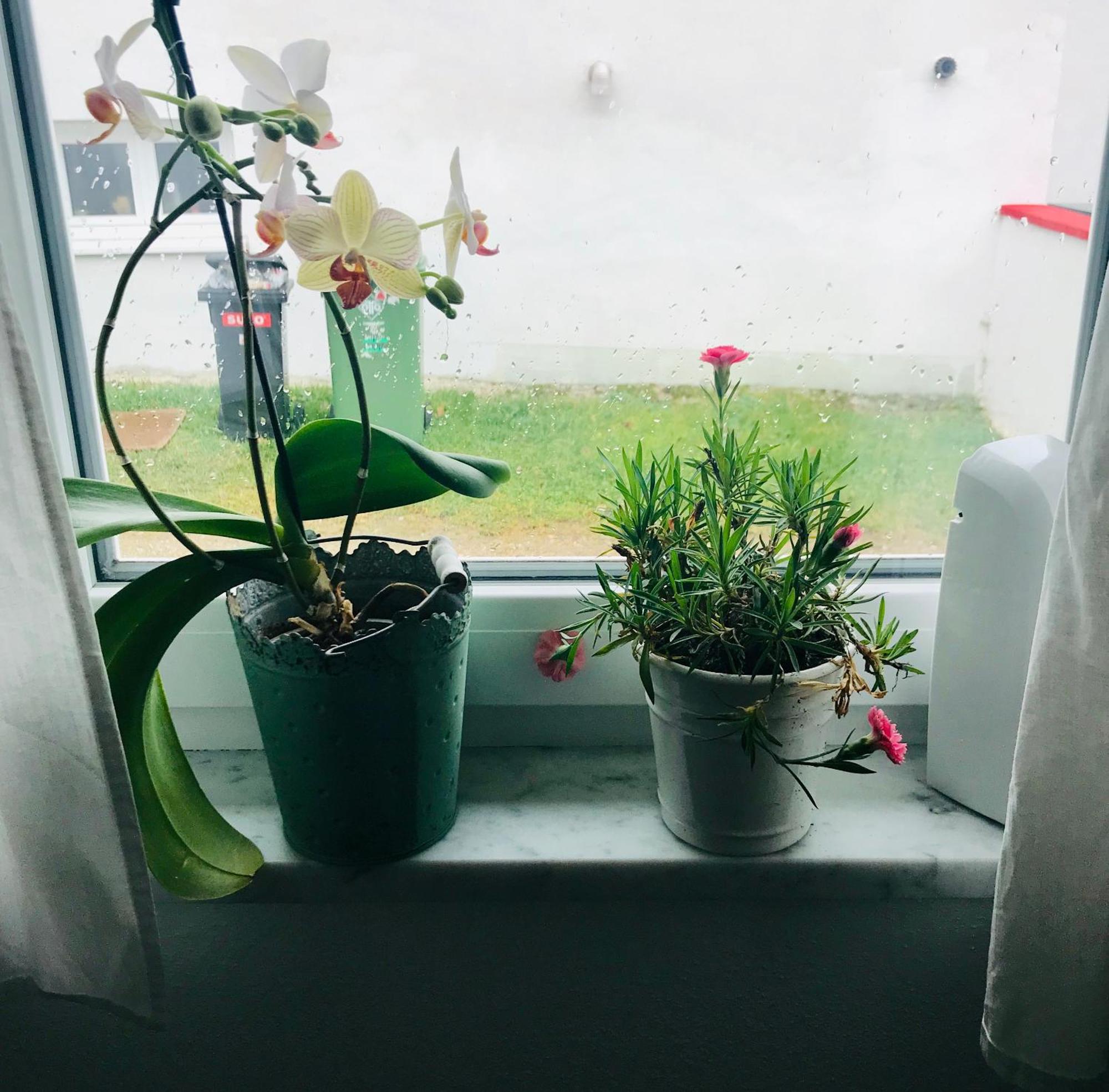 La Toskana Apartment Ihr Rueckzugsort Am Regen Zeitlarn Ngoại thất bức ảnh
